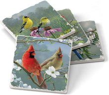 Load image into Gallery viewer, CounterArt Beautiful Songbirds 4 Pack Absorbent Stone Coaster Set 4 Pack Made in The USA
