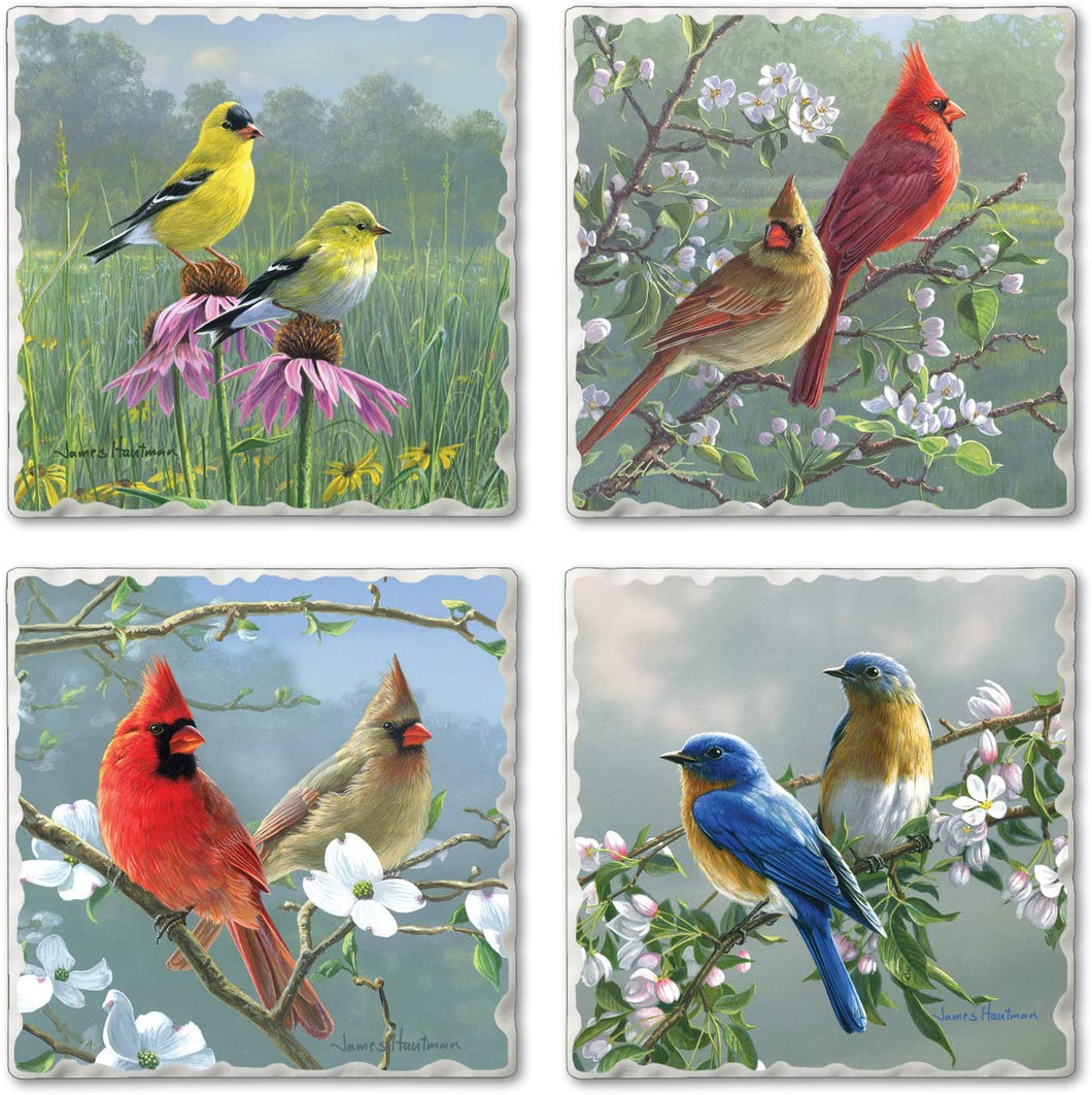 CounterArt Beautiful Songbirds 4 Pack Absorbent Stone Coaster Set 4 Pack Made in The USA
