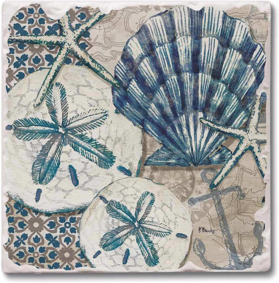 CounterArt Absorbent Tumbled Tile Coasters - Tide Pool Shells 4 Pack
